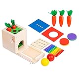 TOYANDONA Montessori 4 1 Multifunktionales ünzbox Für Farben Und Formen Matching Sensorisches Für Kleinkinder Kompaktes Lernspielzeug Für Die Frühe Entwicklung