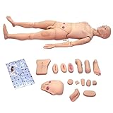 Pflegende Trainingspuppe mit 15 Modulen und anatomischen Funktionen für die medizinische Ausbildung