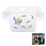 Fischzuchtkasten, Acryl Fisch-Isolationsbox mit Saugnäpfen, Selbstschwimmende Brutstätte für Babyfische, Garnelen und Meeresfische, Ideal für Guppys, Betta, Clownfische und Lebendgebärende