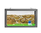 AntHouse - Ameisenfarm mit Ameisen Starterset | 3D Ameisenfarm 20x10x10 cm Grau | Ameisen inklusive