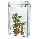 Hoberg Folien-Gewächshaus | Ideal als Treibhaus & Tomatenhaus für Garten oder Balkon | Besteht aus PE-Gitterfolie (140 g/m²) | inkl. Querstreben & Heringen | Maße: 100 x 50 x 158/170 cm [Transparent]