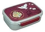 Scooli Brotdose für Kinder mit herausnehmbaren Einsatz - Harry Potter - Kindergarten Brotdose - Sandwichbox Schule - Brotzeitdose aus Kunststoff BPA frei - Sandwichbox - Lunchbox - Vesperbox