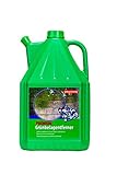 Grünbelagsentferner gebrauchsfertig 5L
