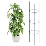 Bamworld Hohes Rankgitter Pflanzenstütze Tomatenstab für Kletterpflanzen (120 cm Höhe)