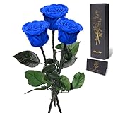 Yamonic Infinity Rose mit Stiel Geschenke für Frauen,Echte Rose Geburtstagsgeschenk für Frauen Ewige Rose in Geschenkbox,Konservierte Blume zum Weihnachten, Deko Geschenk,Geschenke für Mama, 3 Rosen