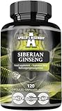 Sibirischer Ginseng 500 mg - 120 Vegane Kapseln - 4 Monate Extrakt standardisiert auf 0,8% Eleutheroside B + E - Nahrungsergänzung von Apollo's Hegemony