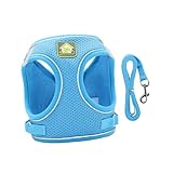 Toyvian Reflektierendes Atmungsaktives Hundegeschirr Set aus Leichtem Strapazierfähigem Material Verstellbare Weste für Kleine Hunde Inklusive Leine für Outdoor spaziergänge bei Nacht S