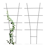 Relaxdays Pflanzenstütze, 2er Set, Rankhilfe Metall, Blumentopf & Pflanzkübel, HxB: 79x35 cm, Blumenstütze, schwarz