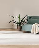 benuta Kunstfaser Fellteppich Furry Cream 60 x 120 cm - Weicher Wohnzimmerteppich - Anti-Rutsch-Rückseite - Waschbar - Für Fußbodenheizung geeignet