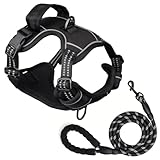Hundegeschirr und 1.5m Leine Set, Brustgeschirr für Kleine Mittelgroße Grosse Hunde, Weich Atmungsaktiv Einstellbar Reflektierend Hundegeschirr Anti Zug (Schwarz, S)