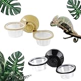 dellyy Reptile Feeder, 2PCS 2 in 1 Reptilien Wasserschale + Feeder mit Saugnapf, Double Feeding Cup Kleiner Gecko Futtertassen Für Reptilien, Insekten, Gecko Futter