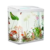 VIALIA Aquarium Komplettset mit LED-Beleuchtung, Pumpe und Filter, 38x24x43 cm, 30 Liter, Weiß, Glasbecken für Fische und Wasserpflanzen