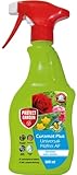 Curamat Plus Universal-Pilzfrei AF, anwendungsfertiges Spray gegen Pilzkrankeiten an Rosen, Zierpflanzen und Gemüse, 500 ml, Farblos