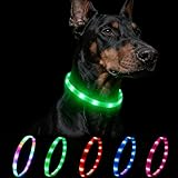 Nepfaivy Leuchthalsband Hund USB Aufladbar - Wasserdichtes Hundehalsband Leuchtend mit Verstellbarer Länge, LED Halsband für Hunde mit 4 Beleuchtungsmodi für Sicherheit, Grün