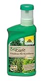 Neudorff BioKraft Vitalkur für Koniferen – Konzentrat vitalisiert geschwächte Koniferen und Hecken durch Schädlinge, Krankheiten, Frost und Trockenheit, 300 ml