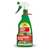 Neudorff Fungisan Gemüse-Pilzfrei - Anwendungsfertiges Spray zur Bekämpfung von Pilzkrankheiten an Gemüse wie Kraut- und Braunfäule an Tomaten, vegan, 1 Liter