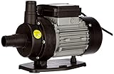 Steinbach Filterpumpe CPS 40-2 – 040955 – Hochwertige Filterpumpe aus Kunststoff für Pools mit bis zu 19.000 l