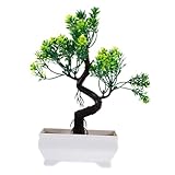 GREENADSCAPE Kleine Künstliche Pflanze Für Den Innenbereich Lebensechte Kunststoffpflanze Dekoration Für Zuhause Und Büro Tischdekoration Ornament Für Schreibtisch Und