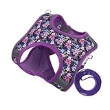 Milisten Haustiergeschirr Mesh Hundegeschirr Schnalle Hundegeschirr Haustiergürtel Brustgurte Für Welpen Haustier Katzengeschirr Leine Welpengeschirr