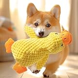 Speedy Panther Hundespielzeug aus Plüsch für kleine Hunde, Enten-Quietsch-Hundespielzeug, weiches Welpenspielzeug für kleine bis mittelgroße Hunde - 25 cm