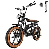 EVERCROSS EK30 Elektrofahrrad für Erwachsene, 20' x 4.0 Fette Reifen E Bike, bis zu 25KM/H & 55-100km Reichweite, 48V 15AH abnehmbare Batterie, 7-Gang, Berg Schnee Elektro Offroad Fahrrad