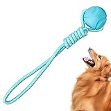 Hundespielzeug Ball – Zubehör für Tiere – Trainingsspielzeug für Welpen – für Trainer mit Tierliebhaber Wohnung Schlafzimmer Wohnzimmer Büro Park Hof Rasen Terrasse Garten