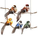 GIFANEO 5 Stück Vogel Deko,ünstliche Vögel Ornamente,Dekorative Vöge, Vogel-Dekoration, Outdoor-Deko-Vögel, Geeignet für Ostern,Garten,Party,Hochzeit Handwerk Dekorationen.