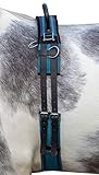 HKM 12701 Longiergurt Canvas, Fester Doppelgriff Longierbedarf Navy/Sky Blue MS, Mini Shetty