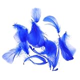 BELLIFFY 100St Basteln von Federn federohring Dekorative Federn Wohnkultur Federn DIY-Plume-Handwerk DIY Feder handgefertigte Handwerksfahne dekorative Hochzeitsfeder Blue