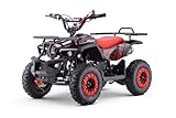 ATV - Mini-Quad für Kinder Beneo Motors Explorer Rot - 50cc