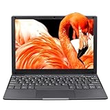 LONGEVINCE 10.1 Zoll Mini Laptop für Schule und Arbeit,Leicht und Tragbar, Celeron N4020, 8GB RAM 256GB SSD, Laptop mit Windows 11 Pro, Type-C(256G)