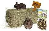 agrar-store 10Kg Heu + 1x JR Farm Knabberhölzer Apfelbaum | Wiesenheu 1.Schnitt | Heuballen Kaninchenheu Meerschweinchenheu frisch & unbehandelt, Ernte 2024