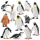 TOYMANY 12 Stück Pinguin Tiere-Figuren Set Antarktis Tierfiguren Polar Spielfiguren Winter Spielzeug kleine-Tiere Plastiktiere Realistische Pinguin Tierfigur, zum Spielen oder als Deko