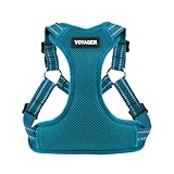 Voyager Verstellbares Hundegeschirr mit Reflektorstreifen by Best Pet Supplies - Strapazierfähige Ganzkörperweste ohne Zugkraft mit Leinen-D-Ring, atmungsaktiv, Türkis, size M