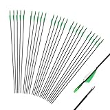 iMeshbean Fieberglaspfeile Pfeile für bogenschießen, 25 Stück Bogenpfeile Erwachsene 31 Zoll 6mm Fiberglaspfeil Jagdpfeile für Bogen, Recurvebogen, Sportbogen,Outdoor Zielschießen (Grün)
