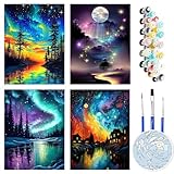 FLAJZ Malen Nach Zahlen Erwachsene, 4 Stück DIY handgemaltes Ölgemälde Set für Anfänger und Erwachsene, Acrylfarbe, Kindergemälde, kreative Heimdekoration, Geschenk, Weihnachten