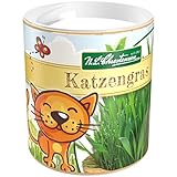 Premium Katzengras Samen Chrestensen Gartenkinder, Grassamen schnellkeimend mit Anleitung für Kinder, 1 Dose für ca. 2 - 2,5 m² Katzengras fertig gewachsen, Natürliche Katzen Leckerlies zu Hause
