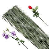 50 Stück Floristendraht, Floristik Draht 1mm Grüner Basteldraht, Blumendraht Grün 30 cm Lang, Für die Herstellung von Blumenhandwerk, künstlichen Blumen, Blumenbouquets