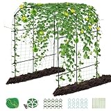 Rankhilfe gurken 220cm hohes Gartenbogengitter Rankhilfe Rankbogen aus Metall mit Gartenklammern und gedrehtem Riemen für Kletterpflanzen, Wein, Gemüse, Obst, Blumen, Outdoor, Hof, Rasen