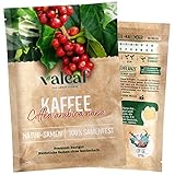 valeaf Zwergkaffee Strauch Samen (Coffea arabica nana) - Premium Saatgut für die Anzucht einer Kaffeepflanze mit wunderschönen Blüten & eigenen Kaffeebohnen