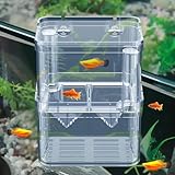Aquarium Zuchtbox, Aquarium Brutkasten Transparent Multifunktional Aufzuchtbecken Große Aquarien Aufzuchtbehälter Fischzuchtbox für Kleine Fische Garnelen Clownfische Guppys