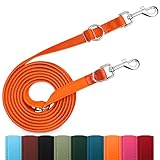 Hundeleine für Kleine & Mittelgroße Hunde bis 30 kg, 3 m Verstellbare Schleppleine Doppelleine, Verdickte Freihandleine Übungsleine Führleine aus Nylon mit 2 Karabiner, Orange