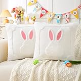 Brylleii 2 Stück Kissenbezug Ostern Kurz Wolle Samt 40x40 Creme Kissenbezüge Deko Hase Osterhase Frühling Kissen Ostern Baumwolle Kissenhülle Luxuriöses Zierkissenbezug für Sofa Zimmer Deko