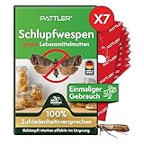 PATTLER® Schlupfwespen gegen Lebensmittelmotten - 7 Karten à 1 Lieferung - Effektiv Kleider Motten bekämpfen - Alternative zur Mottenfalle, Mottenspray, Pheromonfalle (7 Karten à 1 Lieferung)