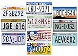 - Lot von 10 US-Autokennzeichen aus Metall – Nachbildungen echter amerikanischer Kennzeichen V1BIS