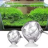 RASTKY Mehrfarbige, wasserdichte LED-Unterwasserbeleuchtung für Fischteich, Pool, Steingartenbrunnen, Hochwertiges Kunststoffmaterial, 1 W Leistung (Spezifikationen: rot)