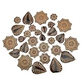 Unregelmäßige Keramik-Mosaikfliesen, zufällige Farbe, 500 g, kreative Keramik-Mosaikfliesen für Bastelarbeiten, Teller, Blumentöpfe, Vasen, Tassen, Mosaikzubehör (Kaffeeblumen + Blätter)