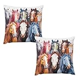 HKMNTGD Quadratische Kissenbezüge 55,9 x 55,9 cm, bunte Cartoon-Pferde bedruckt, 2er-Set, dekorativer kurzer Plüsch, weiche Kissenbezüge für Sofa, Schlafzimmer, Auto