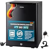 WONEA 28 Liter Mini Kühlschrank, lautlos, Minikühlschrank mit Schloss, Minibar abschließbar geräuschlos, Türanschlag wechselbar, ca. 4°-14°C Höhe 48cm, Innenraumbeleuchtung, Weinkühlschrank,