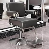 Friseurstuhl Für Stylisten, Hydraulisch Höhenverstellbar, Beauty-Spa-Stuhl, Mit 360°-Drehung, Vergrößertem Stabilem Gestell, Für Massage, Tattoo, Salon,Dark Gray,Mirror Stainless